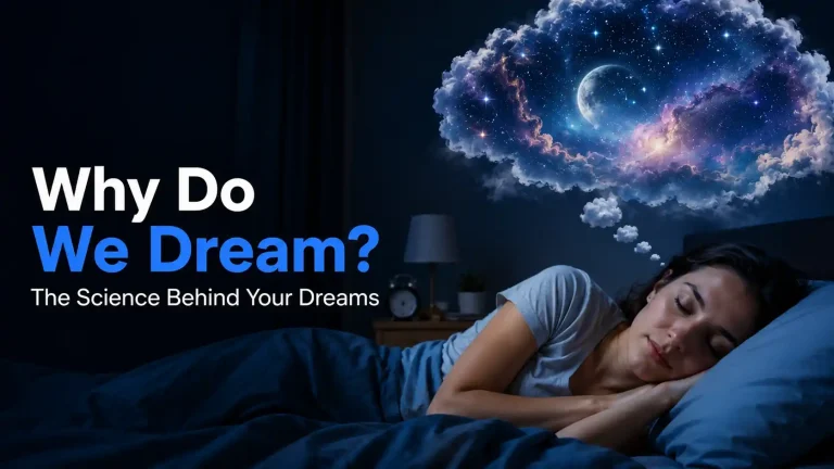 Why Do We Dream? The Science Behind Your Dreams